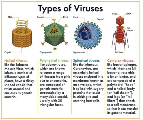 'viral' Search .